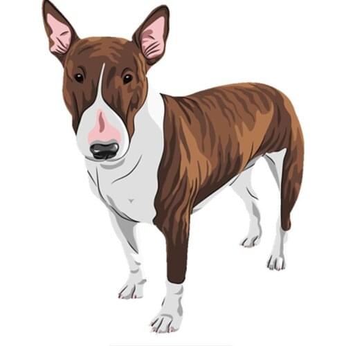 SZWL Cartoon English Bull Terrier Pit Bull Car Sticker Colorful Decals Automobile Motorcycle Accessories Stickers PVC,16cm*13cm