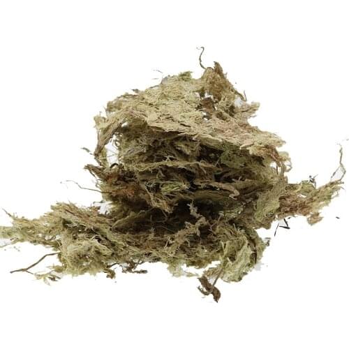 8g Planted Dry Sphagnum Special Plant Nutrition Planting Soil Mixed Soil Organic Plant Soil Flower Pot Cultivation Substrate