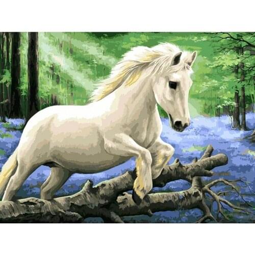 Белоснежка Stretched Canvases