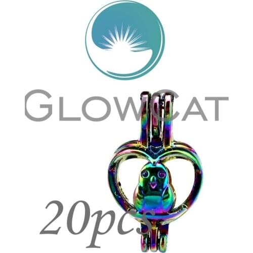 20x CC397 Rainbow Colors Heart Bird Stone Beads Cage Jewelry Making Essential Oil Diffuser Pearl Cage Locket Pendant