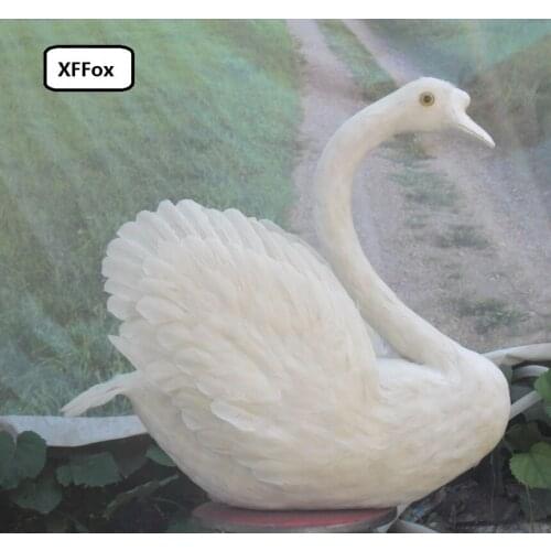 Big simulation white swan model foam&feather lifelike new swan toy gift about 55x65cm xf0700