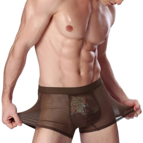 HuaYiHuaFu Men's Transparent Briefs