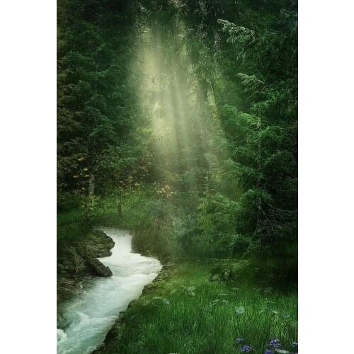 VinylBDS 5x7ft Green Spring Nature Photo Backdrops Sunlight Forest Custom Photography Backdrops Creek Camera Backdrop
