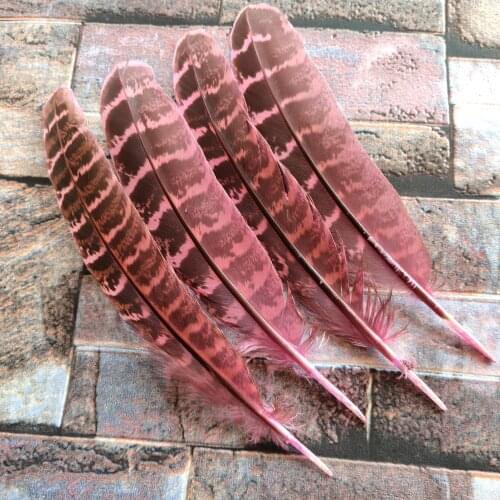 10 pcs Beautiful High Quality 10-15cm/4-6inch Pink Pheasant Feathers DIY Jewelry Christmas Holiday Decoration