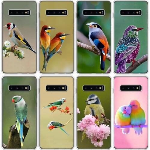 Lovely birds Phone Case For Samsung Galaxy S20 Ultra S10E Note 10 9 8 S9 S8 J4 J6 J8 Plus + Lite S7 S6 Cover Coque Capa