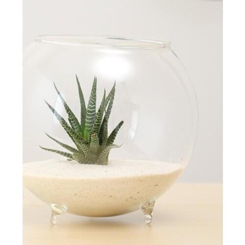 1Pcs Tabletop Flower Vase Terrarium Mini Ball Shaped Tank Ornament