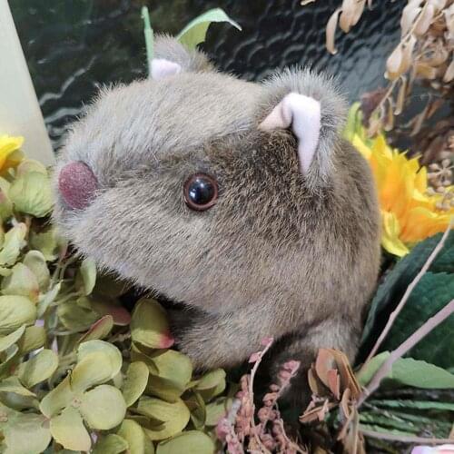 18-28cm Simulation Wombat Plush Toys Stuffed Wild Animal Guinea Pig Cavia Porcellus Mouse Dolls for Baby Kids Gifts