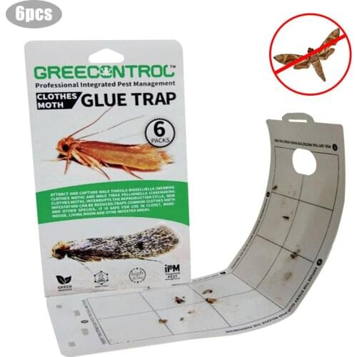 6 Pcs Cloth Pantry Food Moth Trap Pheromone Killer Paste Sticky Glue Trap Pest Reject Fly Insects Family Factory Restaurant Use