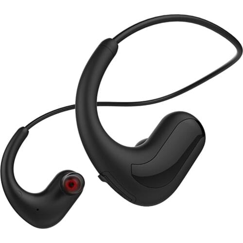 Wireless Bluetooth 4.2 Headphones Neckbands with Mic, for Home Office, Video Conference