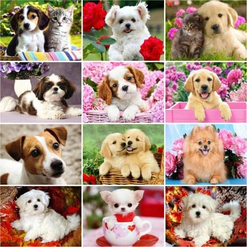 Huacan Diamond Painting Full Square Dog 5D Diamond Embroidery Mosaic Kits Art Animal Home Decoration