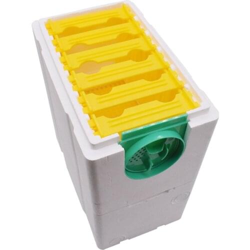 Beekeeping Queen Breeding Rearing Box Beekeeping Supplies Bee Harvest Beehive Foam Double-layer HY99