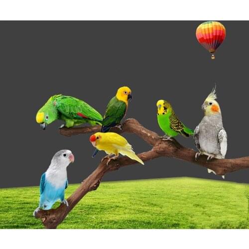 Natural Wild Grape Stick Paw Grinding Standing Climbing Toy Cage Accessories for Small and Medium Parrots