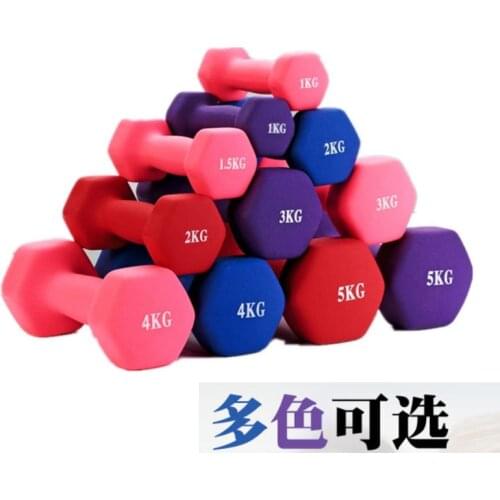 Home Fitness Dumbbell Mens and Womens Dumbbell Indoor Weight Loss Plastic-Dipping Small Dumbbell 1kg