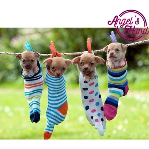 Diy crafts diamond embroidery pattern 5d diy diamond painting dogs crystal whate full 3d picture canvas cross stitch landscape