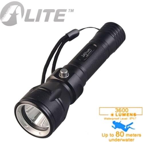 TMWT Camping Lights