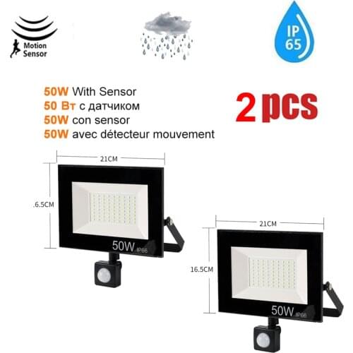 2 pcs 220V 10-100W LED FloodLight Spotlight Exterior Street wall reflector Led Light LED Motion Sensor Lamp Waterproof Security