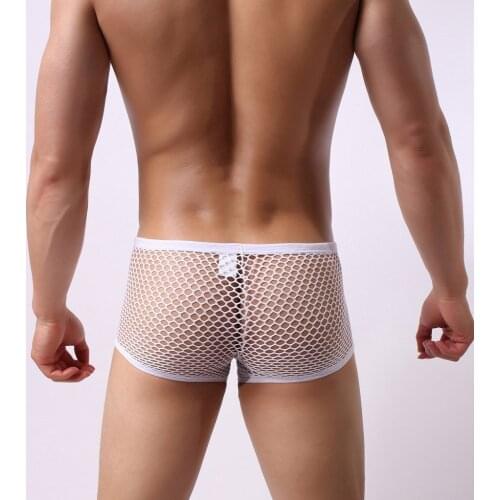 M-2XL Sexy Mesh Mens Panties Hollow Breathable Sexy Lingerie See Through Erotic Underwear Sissy Man Boxer Intimates Gay Briefs