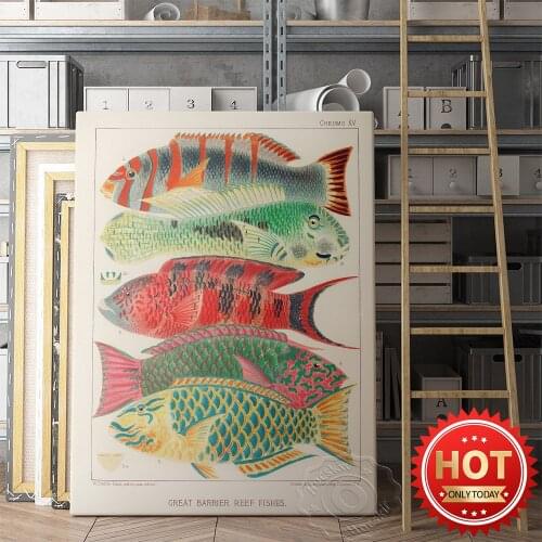 Fish Oceanographic Museum Biology Wall Exhibitionwall Picture, Kindergarten Room Decor Wall Stickers, Vintage Wall Decor Prints