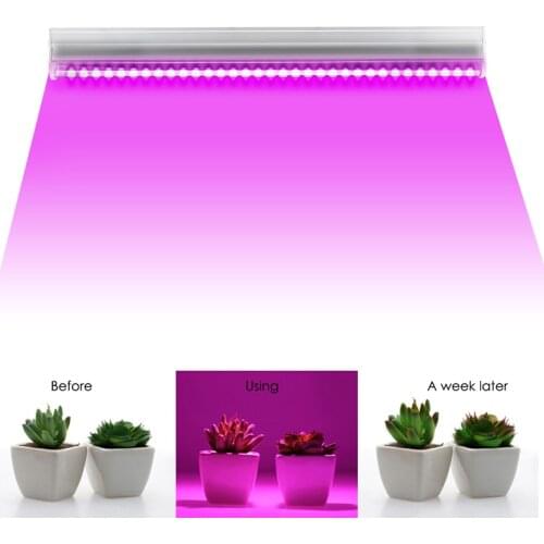 Full Spectrum LED Plant Growth Lamp Hydroponic Kit is Suitable for Indoor Planting Tent Flower Vegetable Lamp,120 Leds