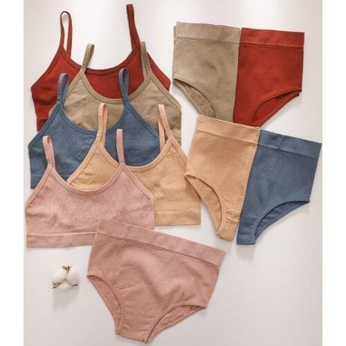 Women Underwear Sexy Bra Briefs Set Seamless Bra And Panties Set Female Crop Top High Rise Brief Sexy Lingerie Low Back Bralette
