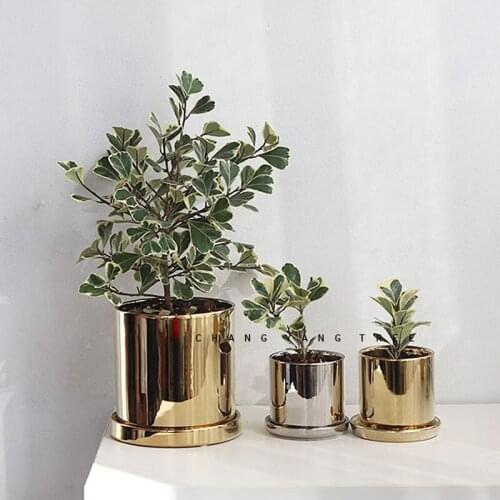 Flower pots Gold Plating With Hole Succulent Pot Stand For Flowers Nordic Home Wedding Decorative Plant Pots Garden Accessories