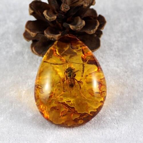 Hot Sale Natural Insects Stone Natural Scorpions Inclusion Amber Baltic Pendant Necklace Gemstone Ornament Decor Travel Gift