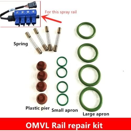 CNG Natural Gas Car Spray Rail Repair Kit Spring Seal Ring For NT401 Spray Rail Repair Kit Accessories