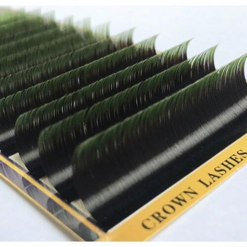 CrownLash 2tone Ombre Green Eyelash Extension C D 0.07 0.15 7-15mm Dual Color Silk Lash