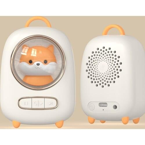 RUIZU Portable Speakers