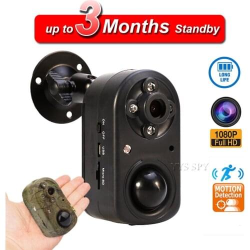 PIR Motion Sensor Hunting Trail Security Wildlife Mini Camera 42pcs Infrared Night Vision Sport Surveillance Recorder Camcorder