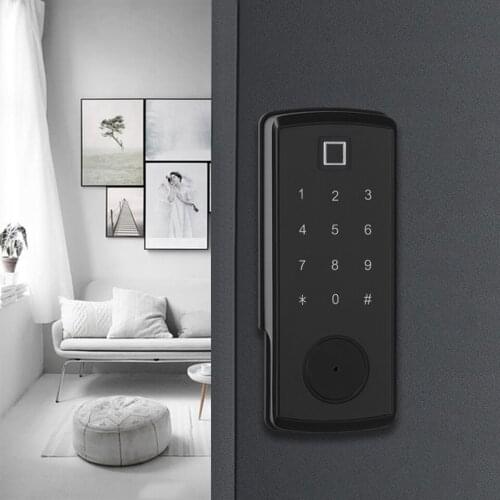 TTLOCK APP Wifi Keyless Access password IC card fingerprint smart rim lock Home door locks