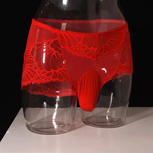 Mens Sexy Low Rise Lace Breathable Briefs See Through Underwear Pouch Panties Underwear With Penis Sheath Boxers Men Underwear