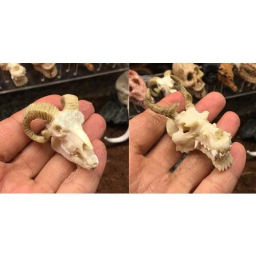 Resin Reptile Habitat Decor Turtle Hideouts Cave Bark Bends Aquarium Fish Tank Ornament - Goat Skull & Dragon Skull
