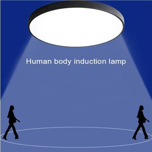 Ceiling lights motion sensor for the hallway indoor Loft smart Led Entrance lamp garage Staircase fixtures home decor panel 220V