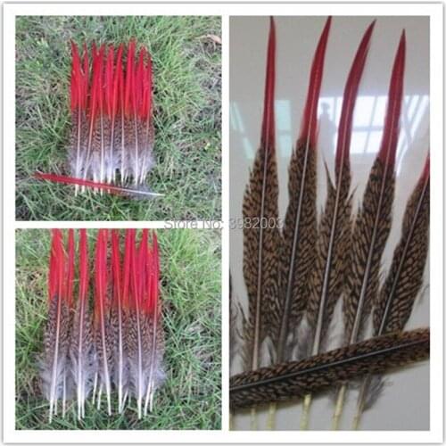 Wholesale 10 pcs / lot 3-12 inches / 7-30cm high quality natural golden pheasant feather / DIY jewelry decoration
