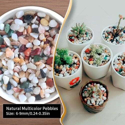 100g Multicolor Bean Pebbles For Fish Tank Aquarium Accessories Natural Rocks Little Stones For Home Garden Decoration