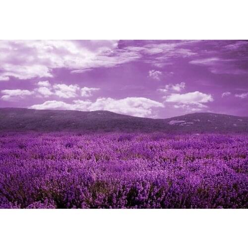 VinylBDS 10x10ft Photocall Bodas Fondo Wedding Backdrop Flowers Purple Lavender Scenery Backdrops Spring Background for Wedding