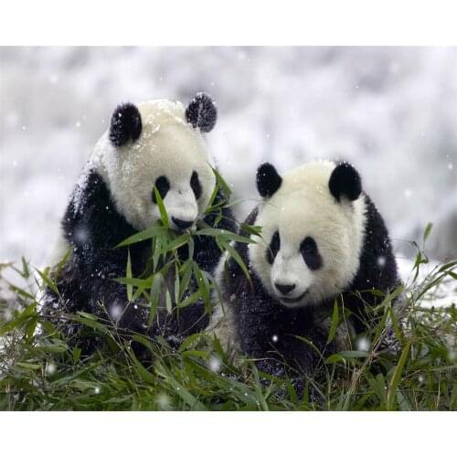 5d Diamond Painting Animal Full Drill Round Diamond Embroidery Cute Panda New Arrival Fall Decorations For Home