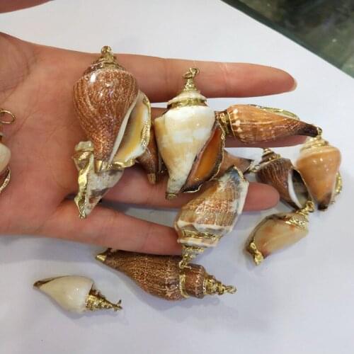 Fine Natural Sea Conch Loose Beads Home Decoration DIY Craft Conch Shell Pendant Jewelry Accessories 10x30-20x40mm