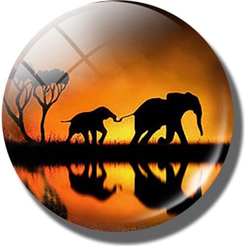 African Sunset Elephant fridge magnet souvenir Animal Art Glass refrigerator magnets Kitchen Accessories Mother Birthday Gift