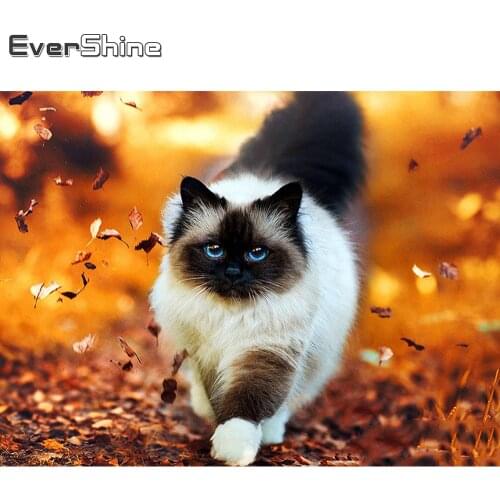 Evershine 5D Diamond Painting Full Drill Animals Cross Stitch Diamond Mosaic Sale Cat Rhinestones Pictures Diamond Embroidery