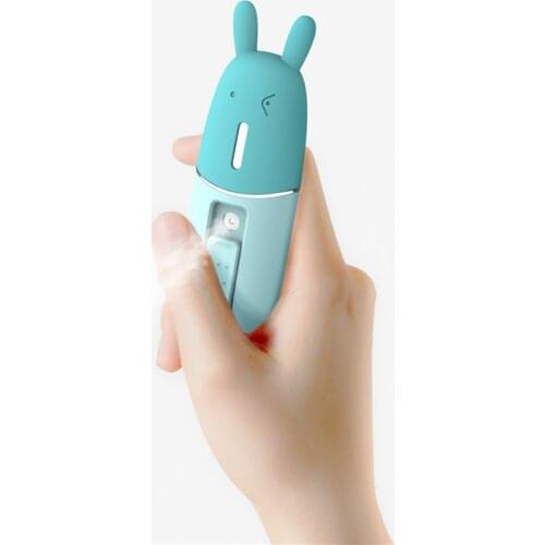 RUINUOKAI Portable Facial Humidifier USB Mini Handheld Ultrasonic Humidifier Mist Maker Fogger Diffuser for Face Steam