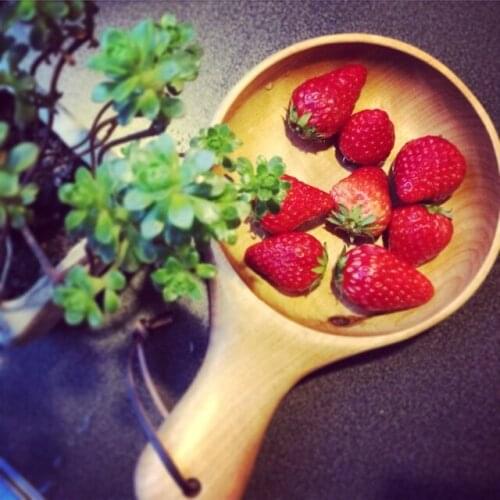 Creative beech with Japanese style and the whole wood bowl with handle bowl dish salad bowl of pickled cabba