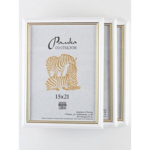 Zebra Frames For Photos