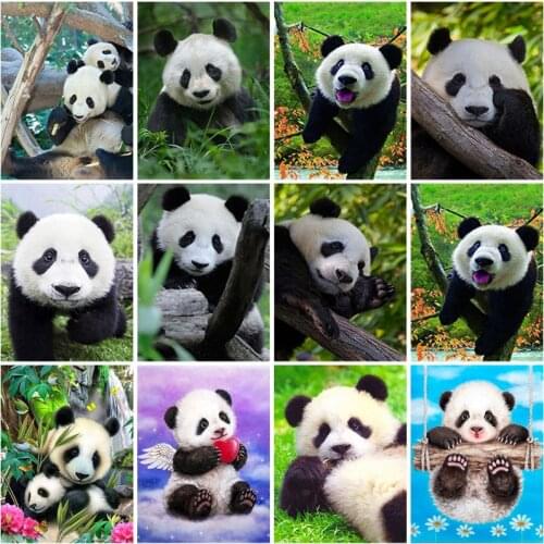DIY Panda 5D Diamond Painting Full Square Drill Rhinestone Animal Embroidery Cross Stitch Farmhouse Wall Art Gift Home Decor