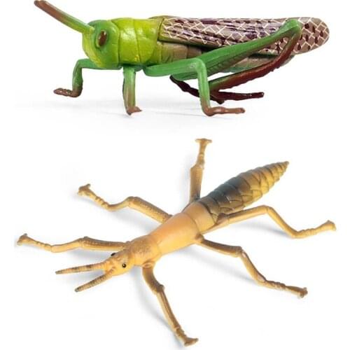 Simulation Solid Static Animal Model Ornaments Realistic Locust/Stick Insect Toy