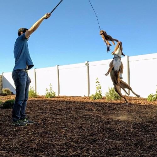 1pcs Extendable Dog Puppy Teaser Pole Wand Outdoor Interactive Pet Dog Flirt Pole Training Exercise Rope Toy