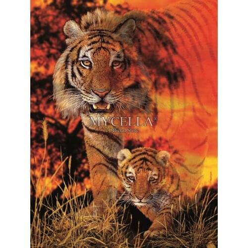 Full Diamond Embroidery Baby Animals Sunset Tigers 5D Diy Diamond Painting Cross Stitch Mosaic Wall Stickers Home Decor canvas