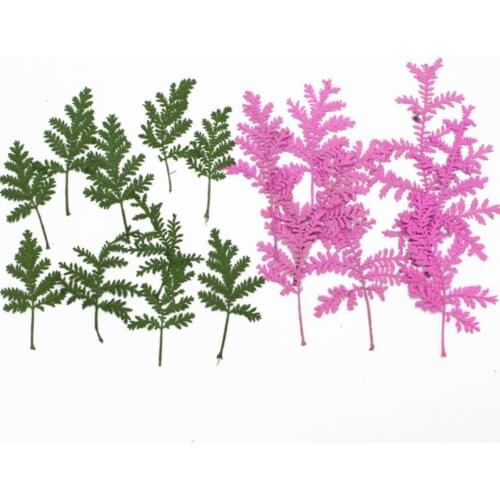 120pcs Pressed Dried Artemisia argyi H. L Flower Plants Herbarium For Jewelry Making Postcard Frame Phone Case Craft DIY