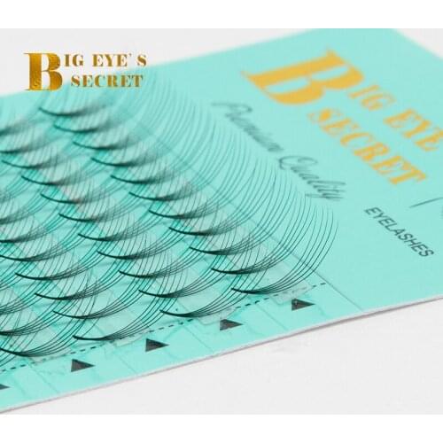 Big Eyes Secret 5D W Premade Volume Fans Lashes Mink Lashes Individual Eyelashes Extensions Custome Logo Free Shipping